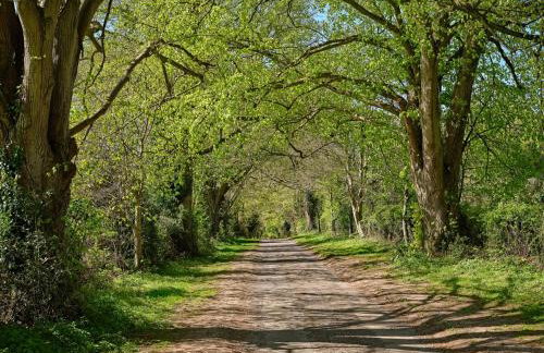 Charming 4-Bedroom Cottage in Henley - Foto 28