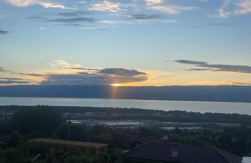 Une escale face au lac Léman - Photo 10