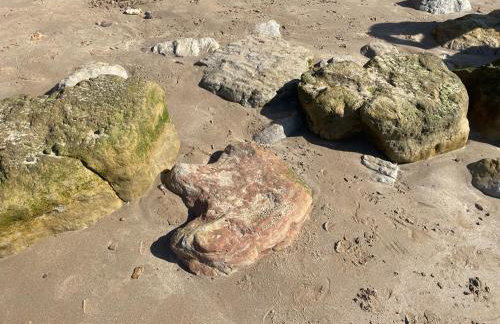 Three Gables, West Wight village house, Sleeps 10 - Photo 32