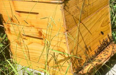 Sea Roots "Sea Zone" - Foto 53