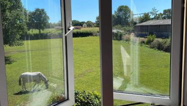 Marsh Farm - Foto 4, Garden view