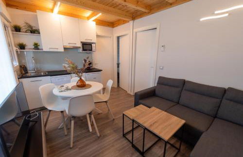 El BURGO DE OSMA ALOJAMIENTO RURAL VILLA BAGH - Foto 18