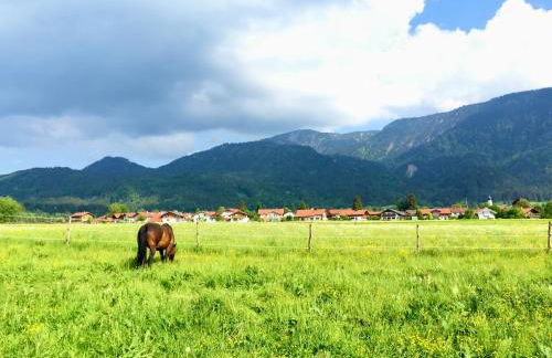 Ferienwohnungen Daserhaus Holiday Apartments - Foto 18