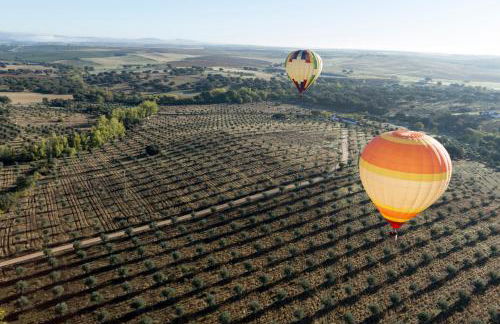 Villa Oliva - Foto 46