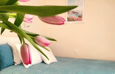 Domki Apartamentowe ITALIA - Foto 23