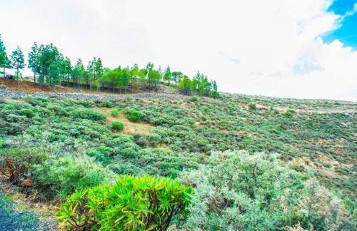 Casa Rural - Cueva del Pastor - Foto 20