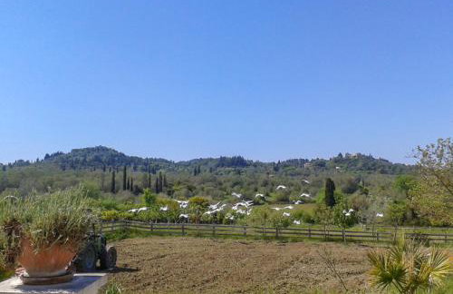 Aroggia Farm - Foto 66