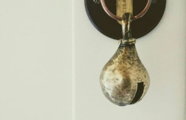 Azienda Agricola Baccagnano - Photo 34