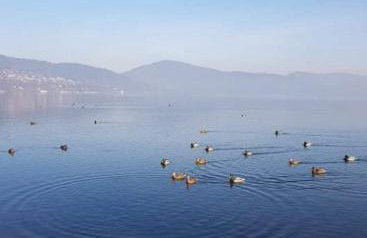 Sielanówek - Orzechowa Chatka z sauną wanną termalną jacuzzi - Foto 36