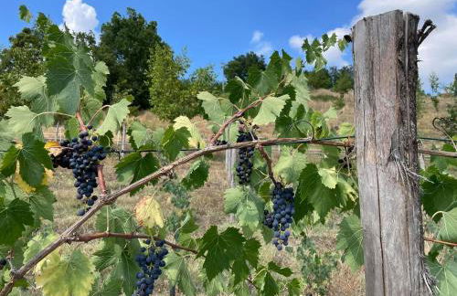 Casa Tincana - Foto 15