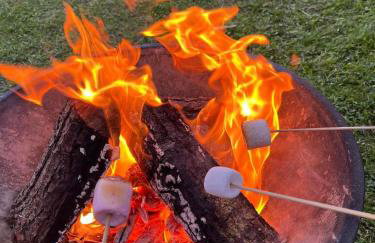 Peaceful country cottage in a rural location near Norfolk Broads 2 double bedroom - Foto 49