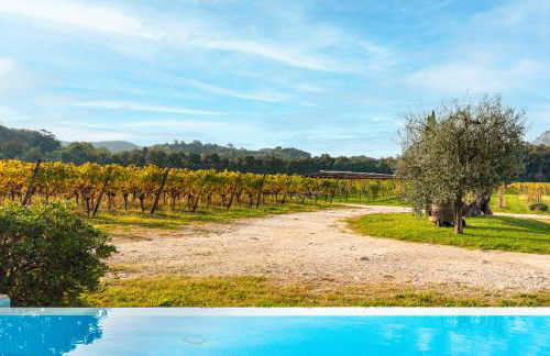 Agriturismo Corte Patrizia - Foto 6