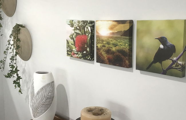 Oamaru Holiday Homes 92 Aln Street - Foto 2