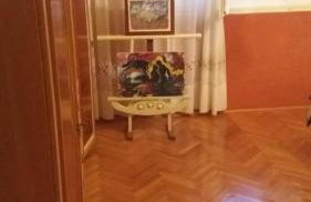 Apartman VeDE Baćina - Foto 26