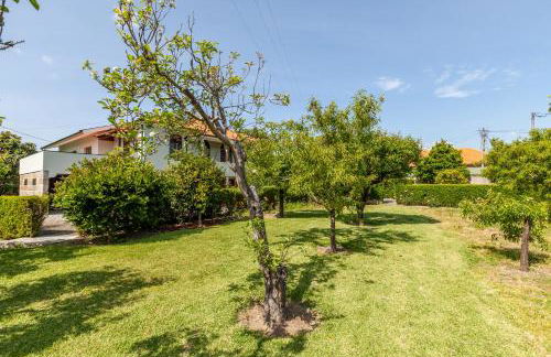 Casa do Lamaçal - Minho's Guest - Foto 57