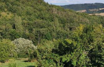 Les Gites de Louisette 1886 - Foto 25