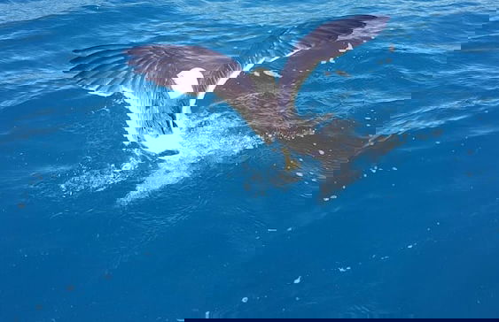 Trading Places - Photo 19