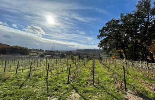 Casa de Pelicas - Celorico de Basto - Foto 22