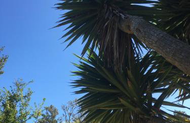 Little Treasure in Shanklin Old Village up to 25 percent off ferry - Foto 32