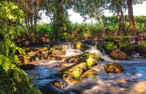 Quinta De Vila Nova - Agroturismo - Foto 45