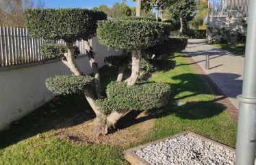 Paradise Village Port Aventuras - Foto 62