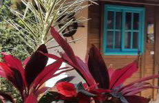 Jajá Cabanas - Foto 10