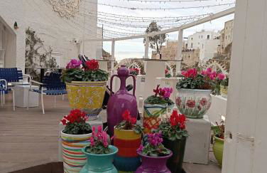 Iris Terlizzi b&b casa vacanze - Foto 24