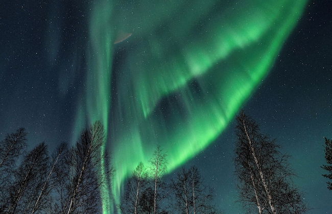 The Elegant Haistila - Foto 64