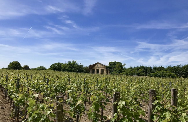 Holiday Home in Dordogne - Foto 75