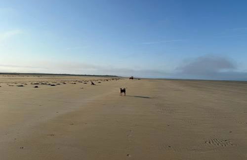 La Cachette - Foto 22