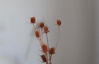 Zambujal Suites - Foto 48