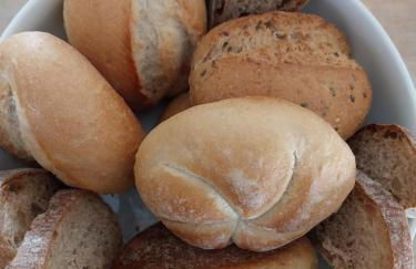 Vorwerk Wehlen - Foto 15