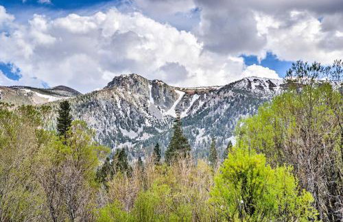 Hot Tub Access: Mammoth Lakes Nature Escape! - Foto 24