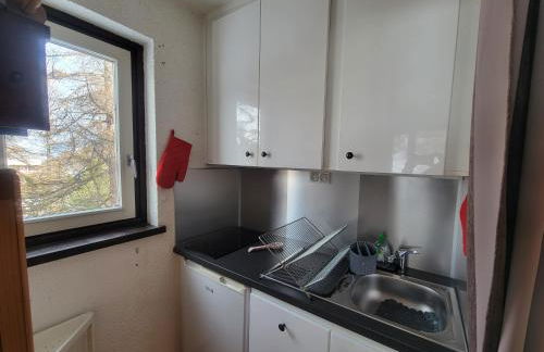 "Miramonte" appartement avec terrasse vue montagne et parking privatif sous-sol, à proximité immédiate des pistes, cœur de Vars les Claux, secteur point show avec commodités et piscine chauffée de plein air - Foto 13