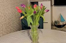 Fewo Seerose - Foto 11