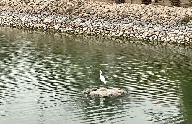 Au Coeur De La Palmeraie De Marrakech - Photo 74