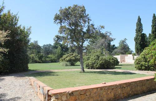 Apartement Pinede - Photo 9