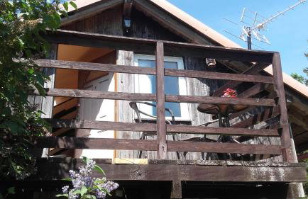 Agroturystyka Pod Dębami w Klukach - Foto 23