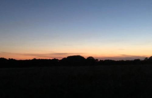 Wagtail Lodge - Foto 8