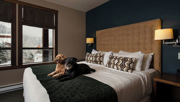 Evolution Whistler, by Lodging Ovations - Foto 5, Quarto