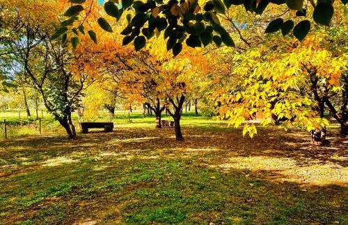 Domaine Plan des Devens - Foto 35