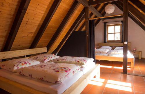 Ferienhof Hohe - Foto 40