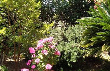 Villa Serenity a luxury relaxing retreat with swimming pool in Kymi Euboea - Foto 135