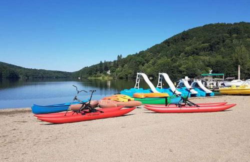 Chalet au lac de la raviège - Foto 30
