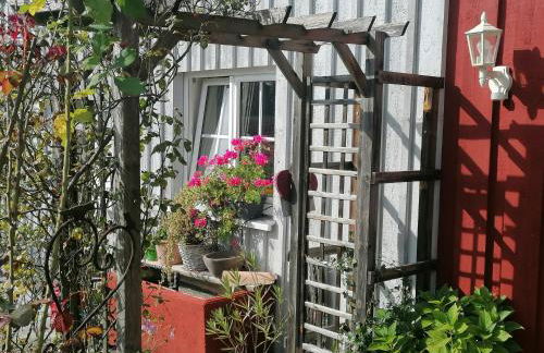 Ferienwohnungen Dornröschen - Foto 17