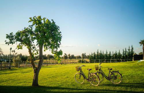 Monte dos Rolas - Foto 5