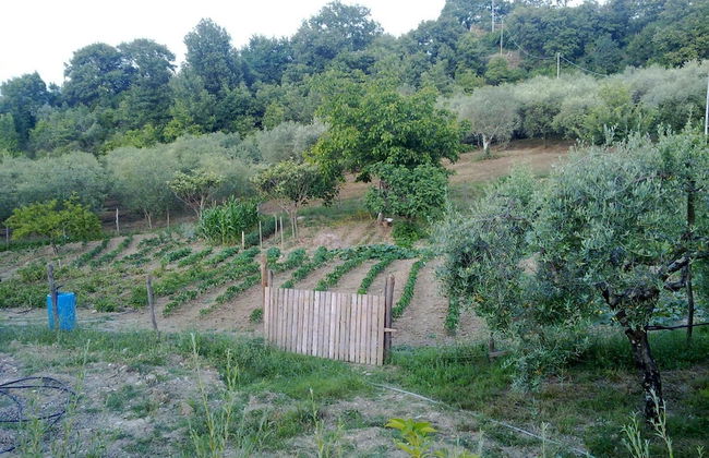 Agriturismo le Cammarose - Photo 19