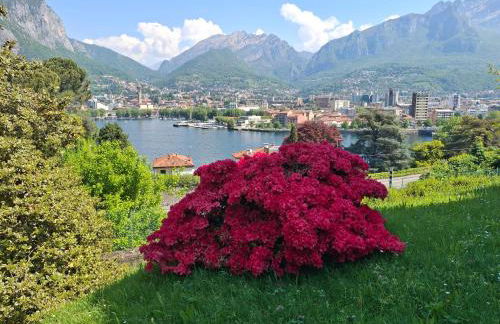 Rosen Garden Apartment - Foto 38