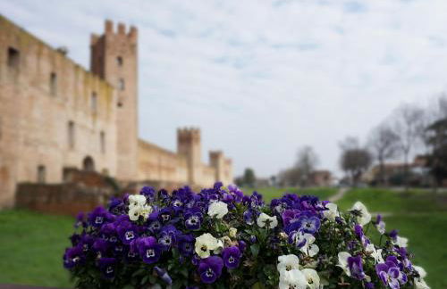 The Relax Apartment - Le Cà De Boron - Foto 22