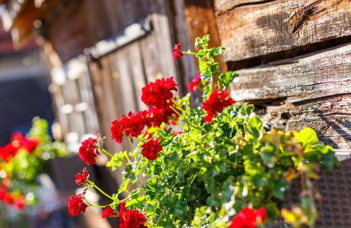 Spreewald Chalet Wohnung - Foto 26